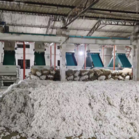 ginning mills